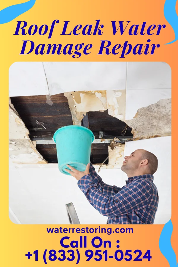 Roof Leak Water Damage Repair in Turah, MT